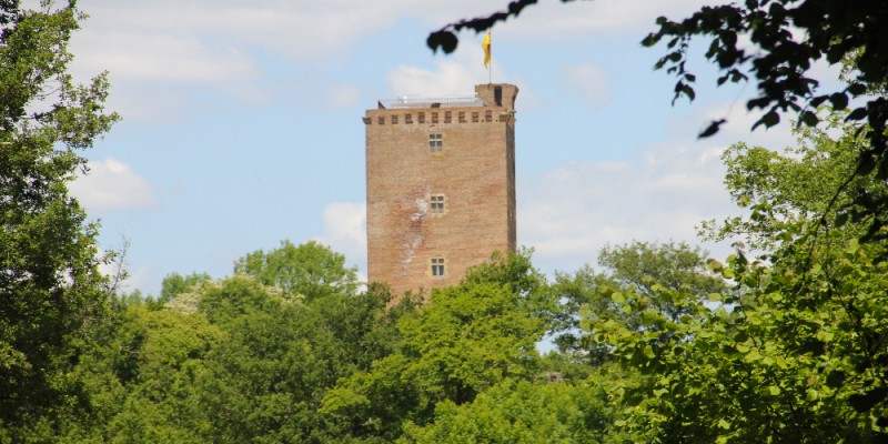 Château de Montaner